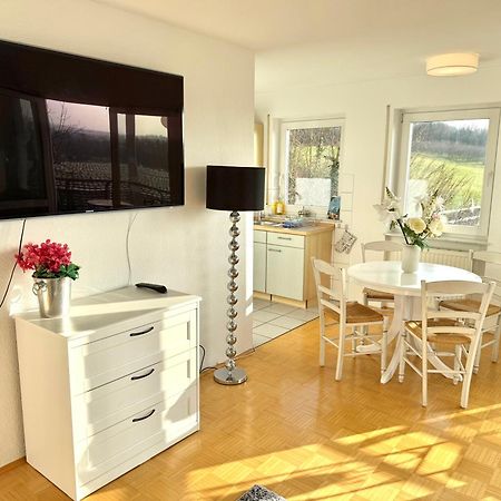 Panorama Domizil Ravensburg Mit Alpenblick Balkon Apartment Bagian luar foto